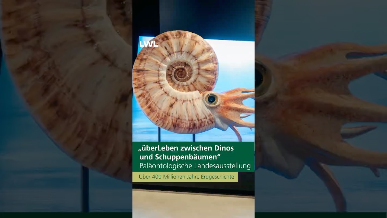 Vorschaubild des YouTube Kurzvideos Trailer zur Ausstellung