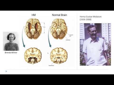 OSSM Neuro Chapter 1 - Introduction and Welcome