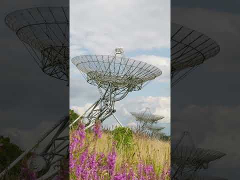 Aldis Ferlach O'Peigh 33 - Cowboy Reasoning and Hillbilly Reckoning - Rules to live by