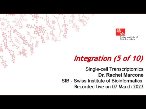 Single cell transcriptomics - Integration (5 of 10)