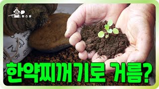 돈안들이고 공짜로 만드는 거름 ㅣ 양말, 스타킹 버리지 마세요 ㅣ 화분재배 거름 꿀팁 ㅣ 발효되지 않은 거름…