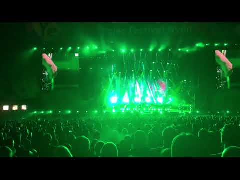 A forest - The Cure @Paleo 2019