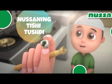 NUSSANING TISHI TUSHDI | NUSSA