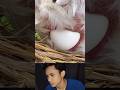 Jadi Begini Cara Ayam Bertelur Funnyvidio Animals Ayam Shortt