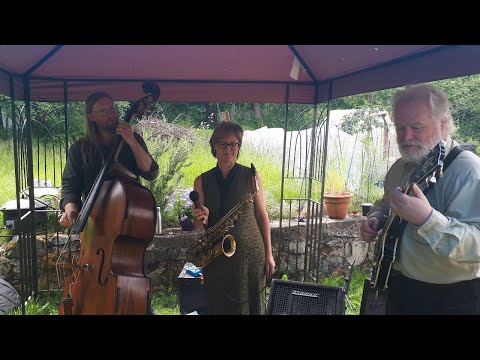 The Back Yard Sessions 4