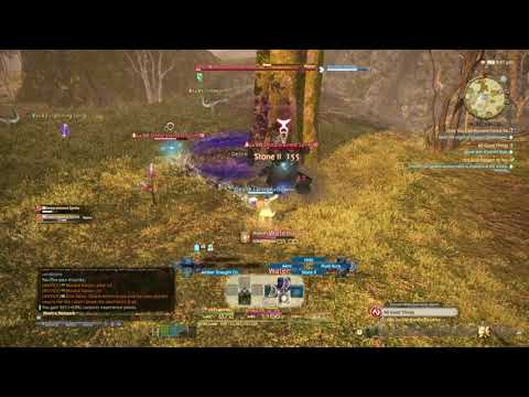 Final Fantasy XIV A Realm Reborn - Only You Can Prevent Forest Ire - White Mage Level 35 Quest