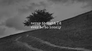 Accidentally Like a Martyr   Warren Zevon   Lyrics ☾☀ RetroAi UnLeashed