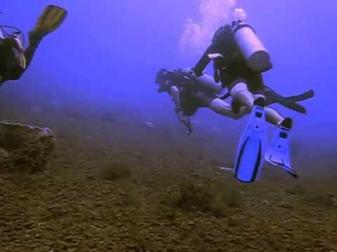 Mexico, Playa Del Karmen, diving