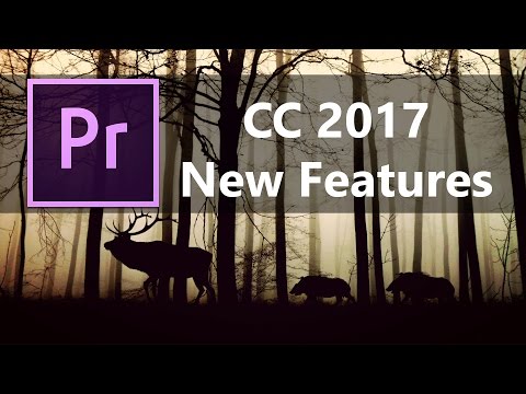 New Features in Adobe Premier Pro CC 2017 vs 2015 | Full Feature Review