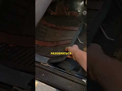 Бесконечность Ковриков