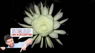 Hotel Mountain View, Pokhara, Nepal, HD Review