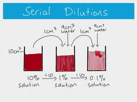 AS Biology - How to calculate serial and simple dilutions