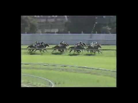 1990 STC Canterbury Guineas - Interstellar