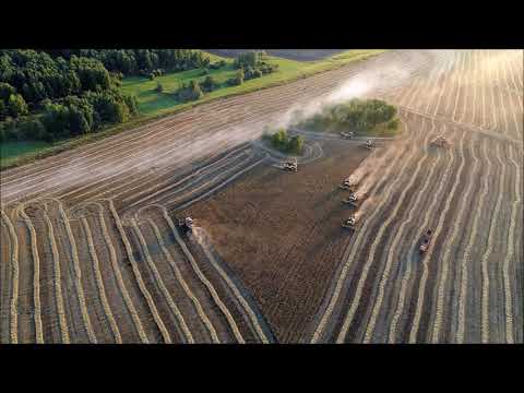 George Balint (1961-2019): Music for Archaeus (2003)
