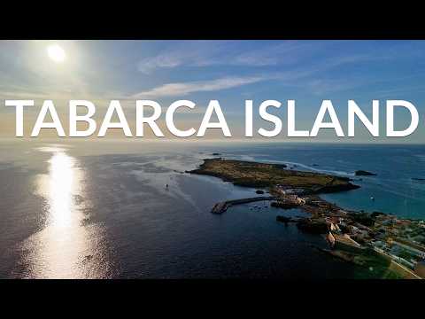Tabarca Island 🇪🇸 | Drone Flight Over Turquoise Waters in 4K | Relaxing Ambient Film