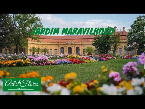 JARDIM FLORIDO DO PALÁCIO