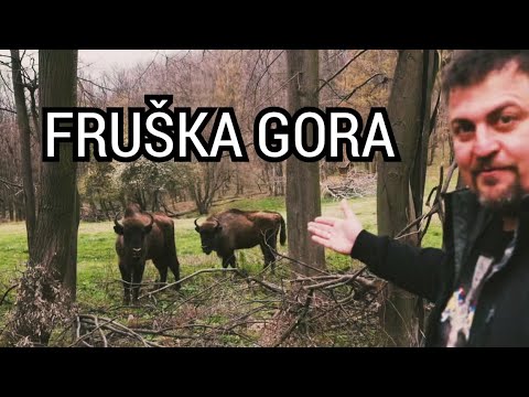 Oaza ep.64 - Fruška gora