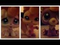 LPS The Perfect Boy   (INTRO) 
