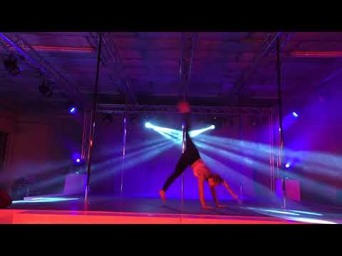 POLARITY 2018 - Janine du Plessis Contemp