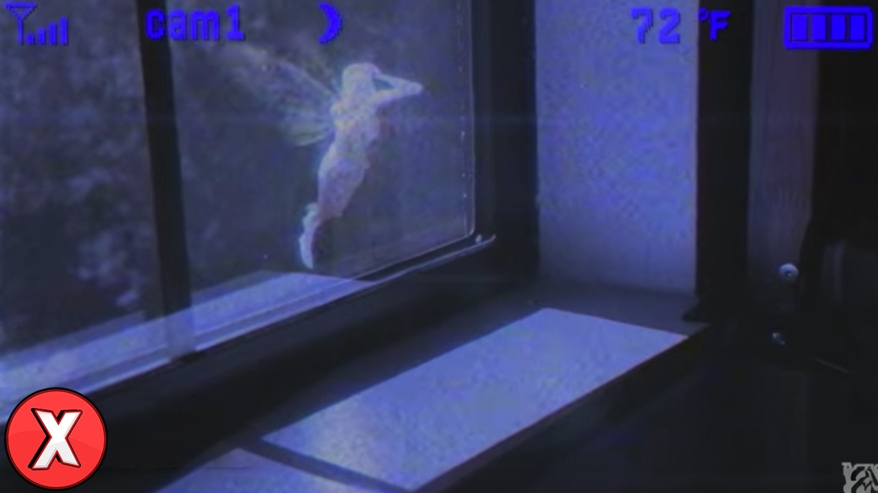 Fadas Reais Filmadas Por Câmeras, Elas São Assustadoras