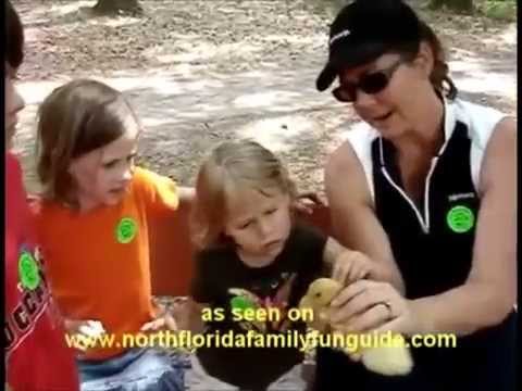 Larry Santos - Touching You - 1972 promotional pop music video