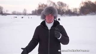 Ссылка