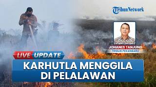 Belum Mereda, Kebakaran Hutan dan Lahan di Pelalawan Meluas, Petugas Gabungan Kewalahan Padamkan Api