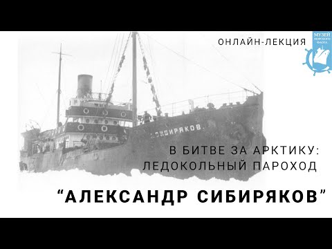 В битве за Арктику: ледокольный пароход "Александр Сибиряков"