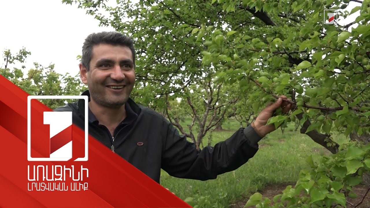 Ֆերմերներն արդարացված են համարում հայրենական արտադրության պարարտանյութի օգտագործումը