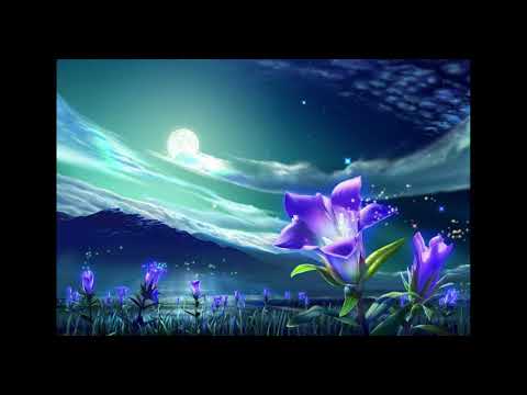 Arty - Glorious (Sub español)