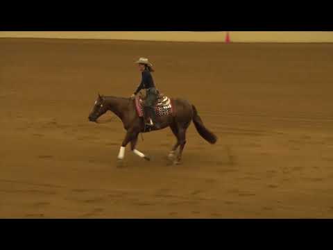 190705 Non Pro Cappy Dryden on Premier Magnum