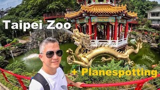 Taiwan Travel - Taipei Zoo + Plane Spotting experience at Songshan airport