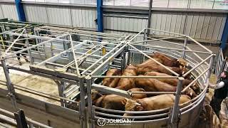  JOURDAIN PANEL FATTENING 2 TUBES