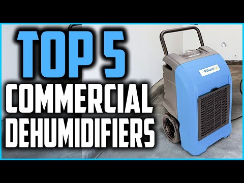 Top 5 Best Commercial Dehumidifiers in 2025 Reviews