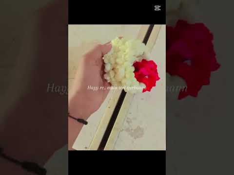 beautiful 🤩🤩❤️🤩🤩🤩🤩🤩🤩🤩🤩❤️🤩🤩❤️❤️❤️❤️❤️❤️