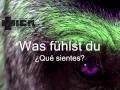 Rammstein - Tier (Letras Alemán - Español) 