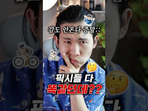 이해할 수 없는 픽시의 복잡한 세계🤯