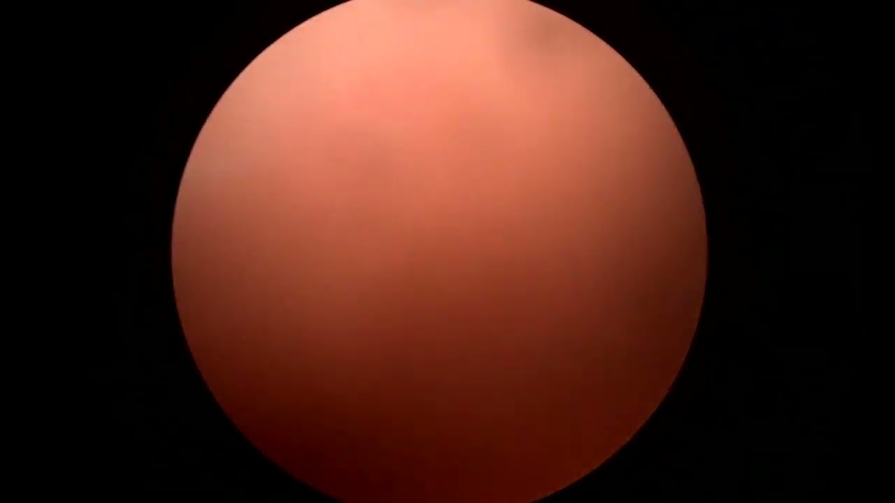 Alejandro Oros Estrada-18