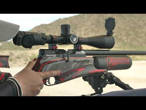 Extreme Benchrest | Lauren Parsons' Daystate Red Wolf