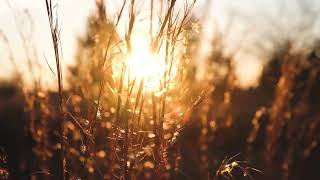André Rieu | And The Waltz Goes On | Composed by Anthony Hopkins | Extended