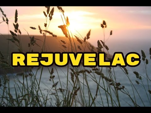 REJUVELAC | GÜNSTIGES Probiotikum | Enzyme | GESUNDER Darm | Darmsanierung