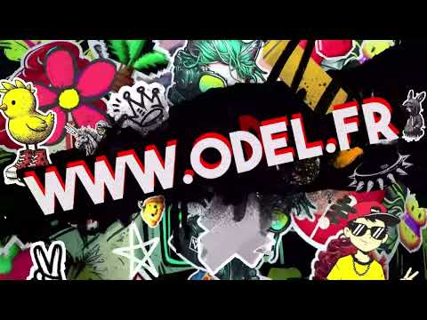 VidÃ©o du sÃ©jour