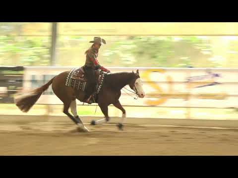 Gunstep --- Gina Schuhmacher --- D --- EURO DERBY 2020