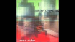 Tomcats In Tokyo - Singing Bathtub [2003, Static Caravan, IDM]