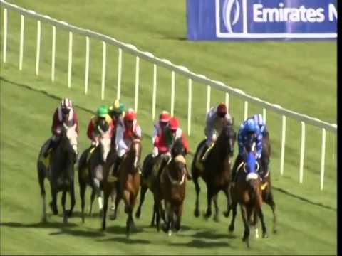Newbury 10 August 2014 DIAR Race 04