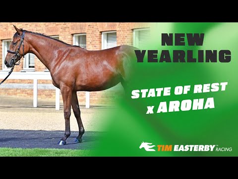 State Of Rest x Aroha