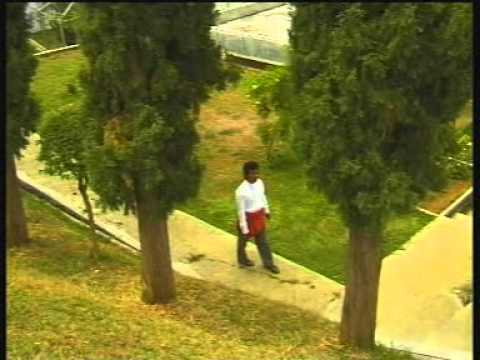 Banyuwangi Konco Lawas