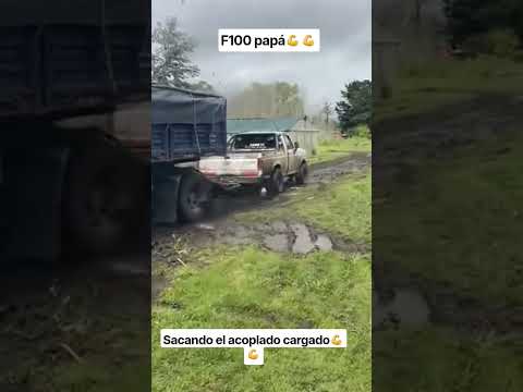 F100 papá #agro #campo #campoargentino #rural #agricultura