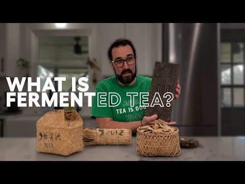 Exploring Fermented Teas