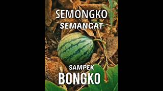 Download lagu TARIK SIS SEMONGKO | STORY WA mp3